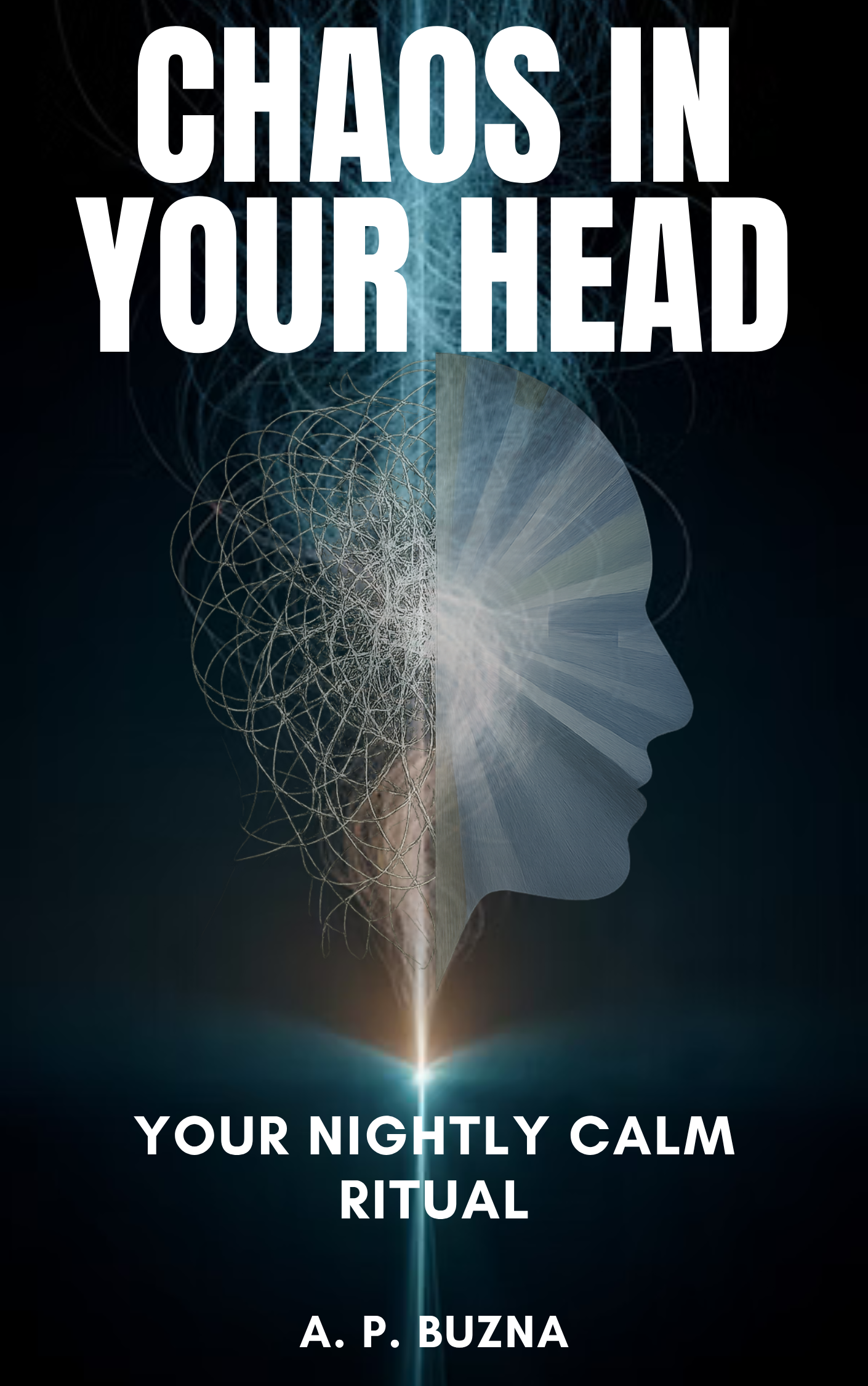 Mental Clarity Bundle – The Chaos Clarity Series